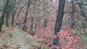 PICTURES/Boynton Canyon Trail/t_Sharon on Trail1.JPG